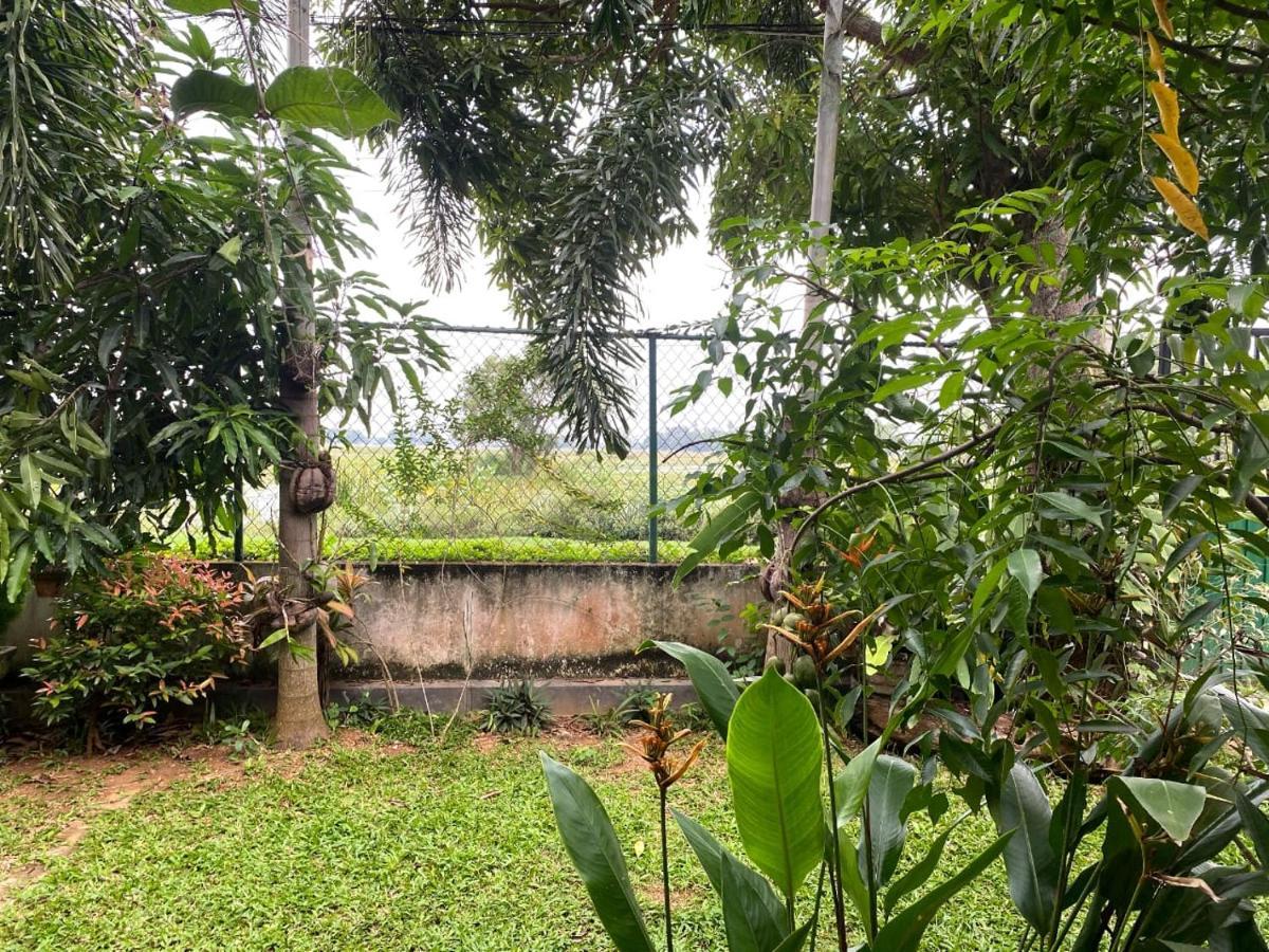 Birds Paradise Yala & Safari Tissamaharama Exterior photo