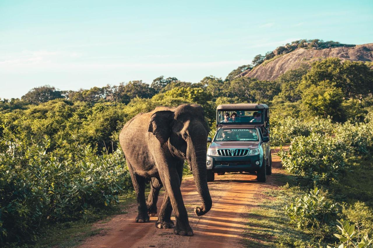 Birds Paradise Yala & Safari Tissamaharama Exterior photo